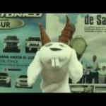 Jamsha - CabroeMonte MP3