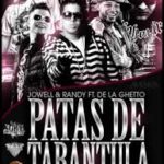 De La Ghetto Ft. Randy - Patas De Tarantula MP3