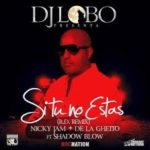 Nicky Jam Ft. De La Ghetto y Shadow Blow - Si Tu No Estas MP3